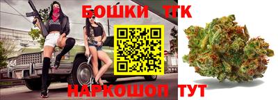 индика Можайск