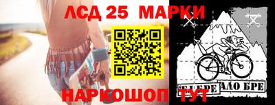 индика Можайск