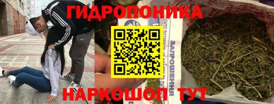 индика Можайск