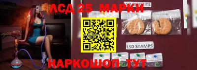 индика Можайск