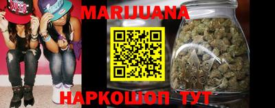 индика Можайск