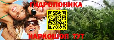 индика Можайск